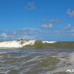 surf (9)a