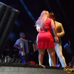 SAM_0065
